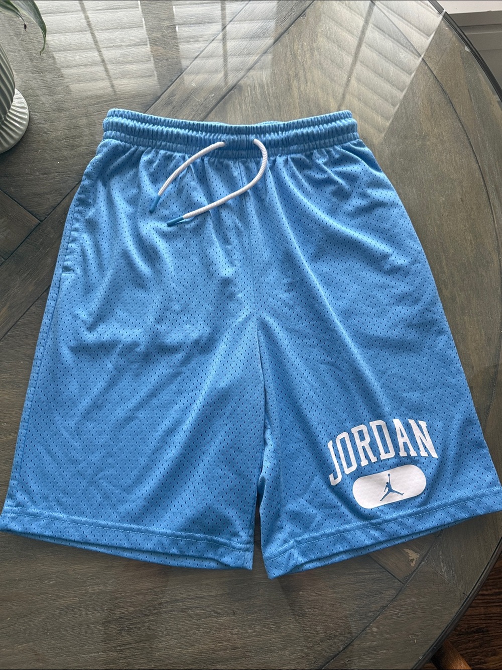 Jordan Light Blue Men’s Athletic Mesh Shorts with Logo